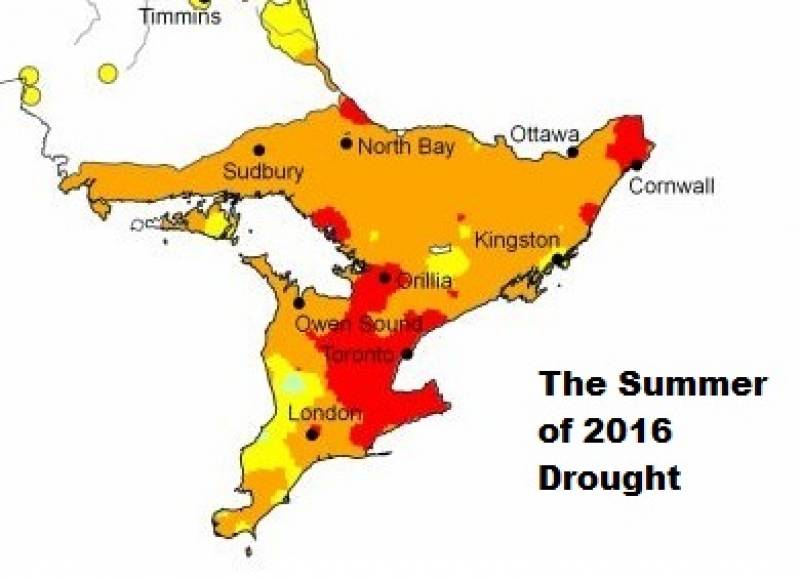 The Ontario Drought Continues - This Is The Summer to Root Rescue your Landscape Plantings!