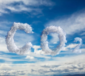 International Reducing CO2 Emissions Day