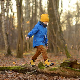 The Impact of Forests on Healthy People and Healthy Societies – Celebrating International Day of Forests