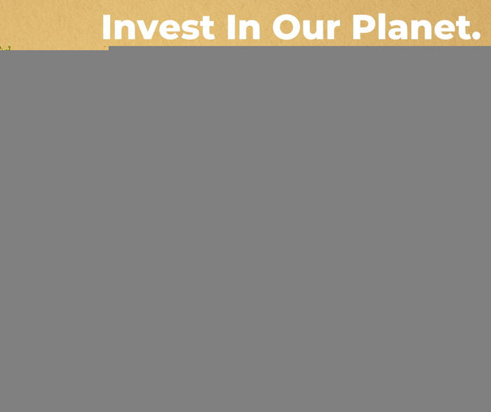 Earth Day 2023 - Invest in our Planet