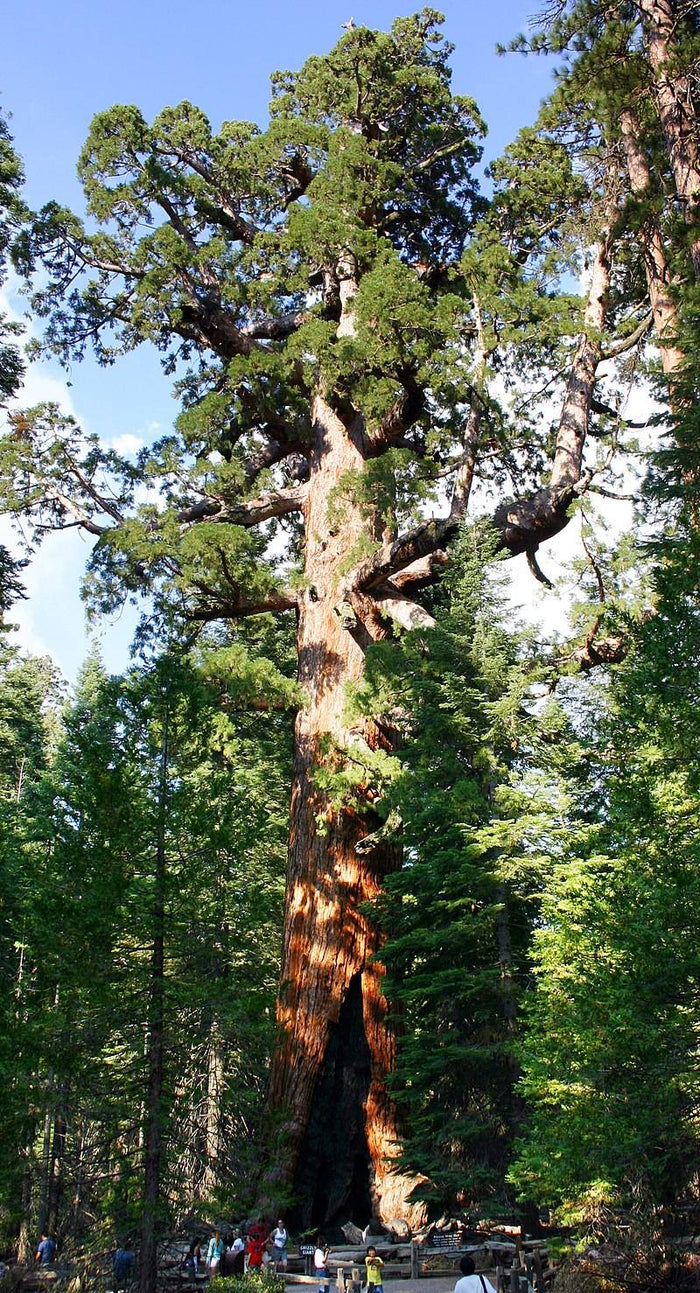 Important Lessons from Nature #1