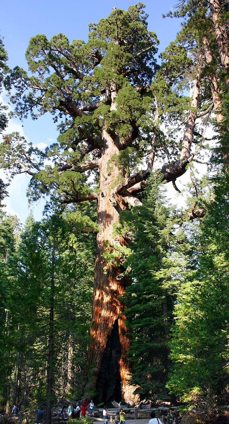 Important Lessons from Nature #1