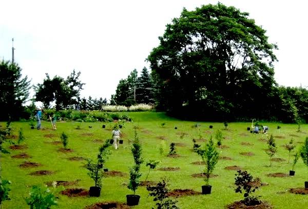 Earth Day - Tree Planting Relay