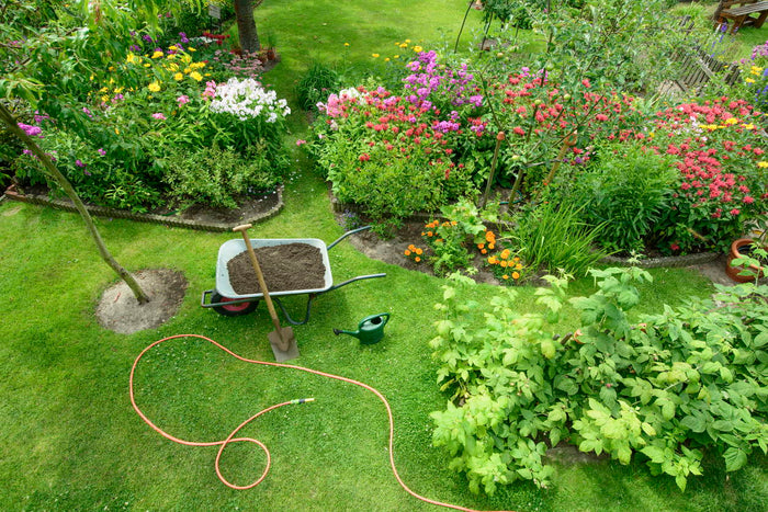 Drug Addicted Plants: Are you an enabler?