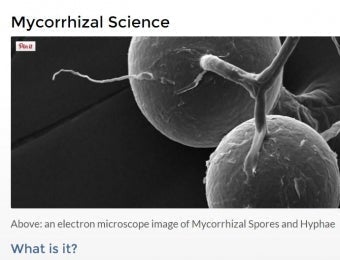 C'est le jour de l'ouverture. Root Rescue lance notre nouveau site Web !