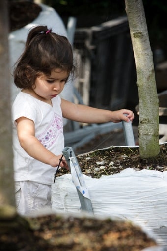 Le Jour de la Terre est vraiment le Jour du sol