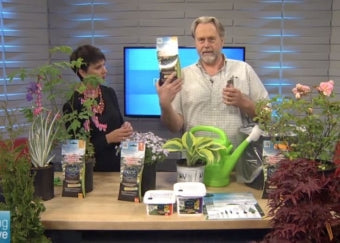 Interview de Bob Reeves sur CH Morning Live TV
