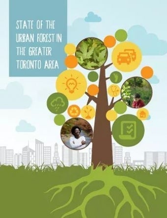 Le premier rapport sur le couvert forestier de la région du Grand Toronto présenté lors de la conférence Gray to Green 2016