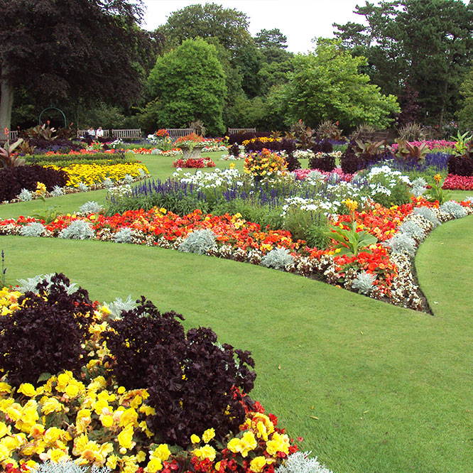 Transplanter - Now Registered by the CFIA for Sales Across Canada