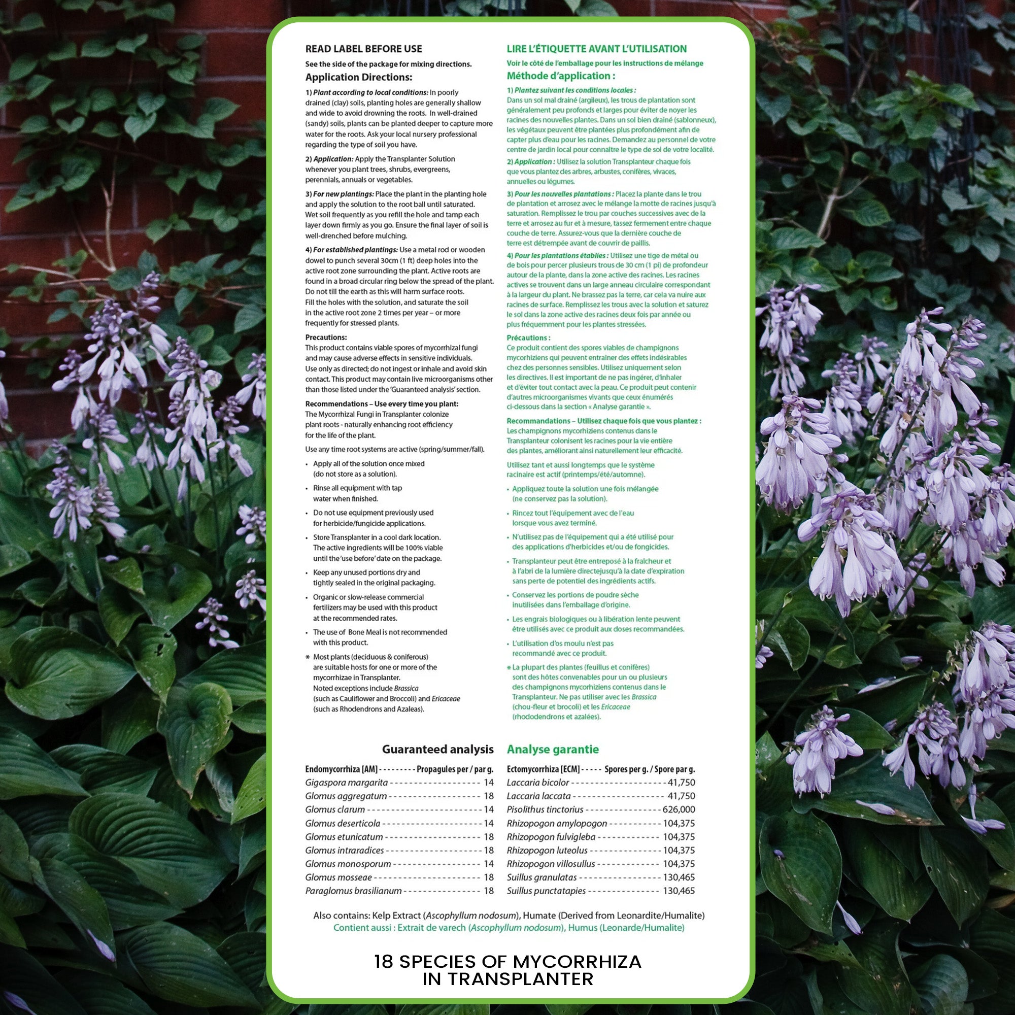 180 Gram Root Rescue Transplanter (Free Shipping)