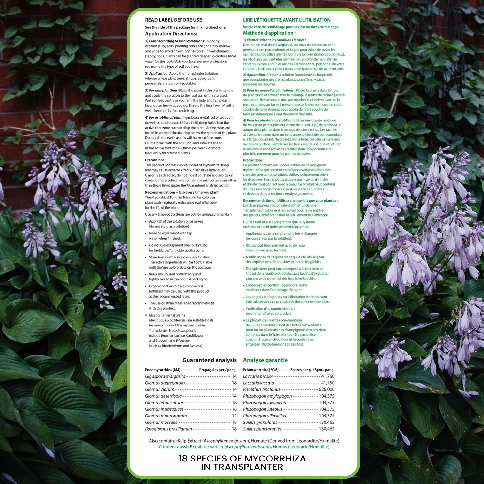 Root Rescue Transplanter - 45 gram Pack