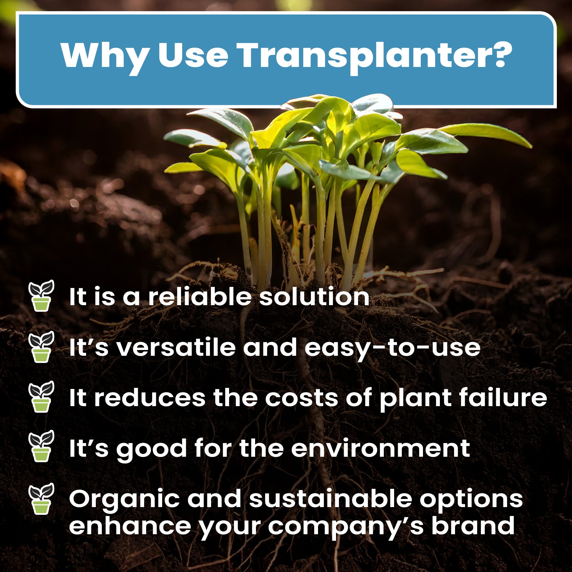 450 Gram Root Rescue Transplanter (Free Shipping)