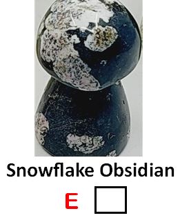 Children's Book Gift Pack (E w/Snowflake Obsidian)